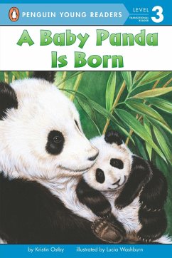 A Baby Panda Is Born - Ostby, Kristin