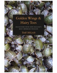 Golden Wings & Hairy Toes: Encounters with New England's Most Imperiled Wildlife - McLeish, Todd