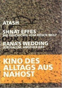 Kino Des Alltags Aus Nahost (3