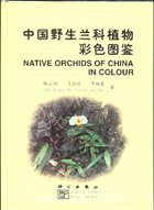 Native Orchids of China in Colour - Chen, Singchi / Tsi, Zhanhuo / Luo, Yibo