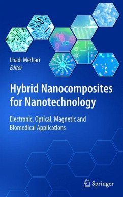 Hybrid Nanocomposites for Nanotechnology - Merhari, Lhadi (ed.)