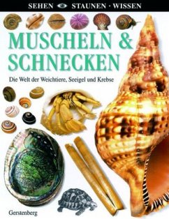 Cover Muscheln und Schnecken