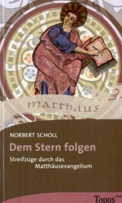 Cover Dem Stern folgen