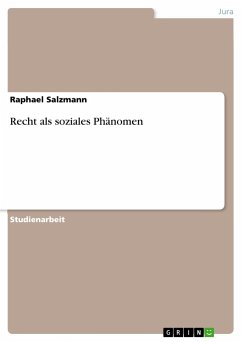Recht als soziales Phänomen - Salzmann, Raphael