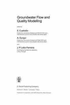 Groundwater Flow and Quality Modelling - Custodio