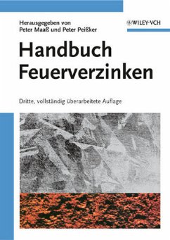 Handbuch Feuerverzinken - Maaß, Peter / Peißker, Peter (Hgg.)
