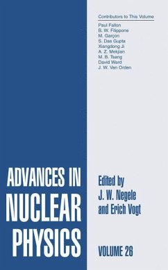 Advances in Nuclear Physics - Negele, J.W. / Vogt, Erich W. (Hgg.)