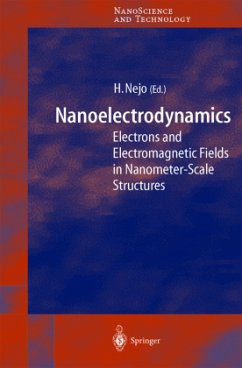Nanoelectrodynamics - Nejo, Hitoshi (ed.)