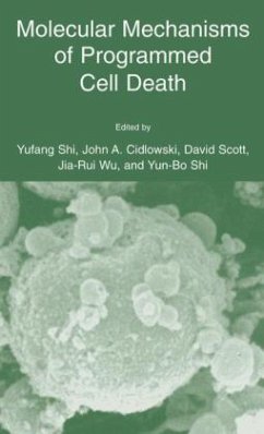 Molecular Mechanisms of Programmed Cell Death - Yufang Shi / Cidlowski, John A. / Scott, David W. / Jia-Rui Wu / Yun Bo Shi (Hgg.)