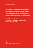 Einführung in die neuen Bestimmungen des Schweizerischen Strafgesetzbuches zum Sanktionensystem und zum Straf- und Massn