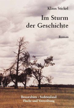 Im Sturm der Geschichte - Stickel, Klaus