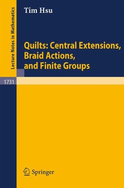 Quilts: Central Extensions, Braid Actions, and Finite Groups - Hsu, Tim