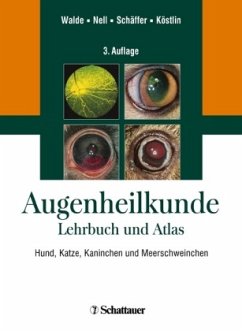 Atlas der Augenheilkunde - Walde, Ingo / Schäffer, Ekkehard H. / Köstlin, Roberto G. / Nell, Barbara (Hrsg.)