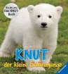 Knut, der kleine Eisbärenjunge - Bild 1