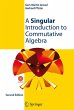 A Singular Introduction to Commutative... - Bild 1