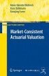 Market-Consistent Actuarial Valuation - Bild 1