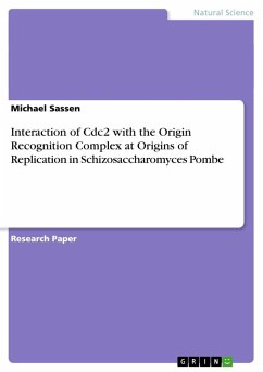 Interaction of Cdc2 with the Origin Recognition Complex at Origins of Replication in Schizosaccharomyces Pombe - Sassen, Michael