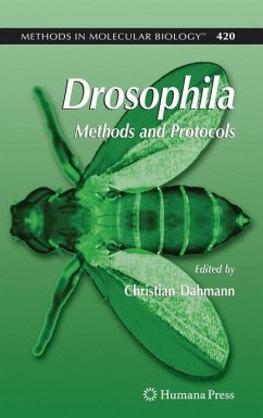 Drosophila - Dahmann, Christian (ed.)