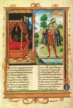 Cover Der Rosenroman für Francois I.