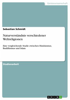 Naturverständnis verschiedener Weltreligionen - Schmidt, Sebastian