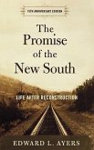 The Promise of the New South