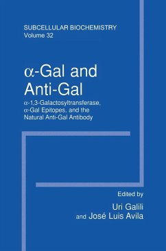 ¿¿Gal and Anti¿Gal - Galili, Uri / Avila, Jos‚-Luis (Hgg.)