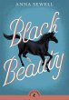 Black Beauty - Bild 1