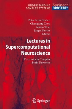 Lectures in Supercomputational Neuroscience - beim Graben, Peter / Zhou, Changsong / Thiel, Marco / Kurths, Jürgen (eds.)