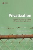 Privatization