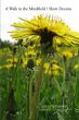 A Walk in the Mindfield / Short Dreams - Bild 1