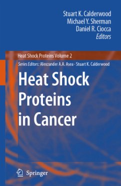 Heat Shock Proteins in Cancer - Calderwood, Stuart K. / Sherman, Michael Y. / Ciocca, Daniel R. (eds.)