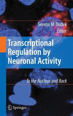 Transcriptional Regulation by Neuronal Activity - Dudek, Serena (ed.)