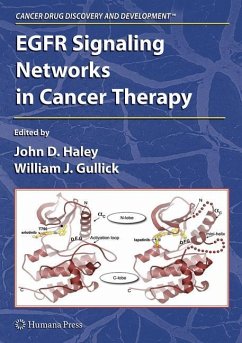 EGFR Signaling Networks in Cancer Therapy - Haley, John D. (ed.)