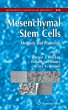 Mesenchymal Stem Cells - Bild 1
