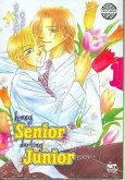 Honey Senior, Darling Junior Volume 1