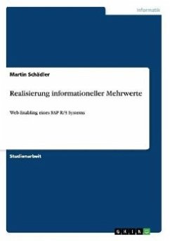 Realisierung informationeller Mehrwerte - Schädler, Martin