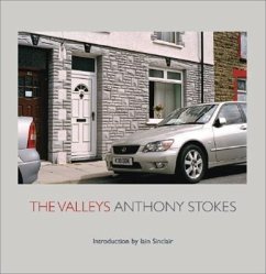 The Valleys - Stokes, Anthony