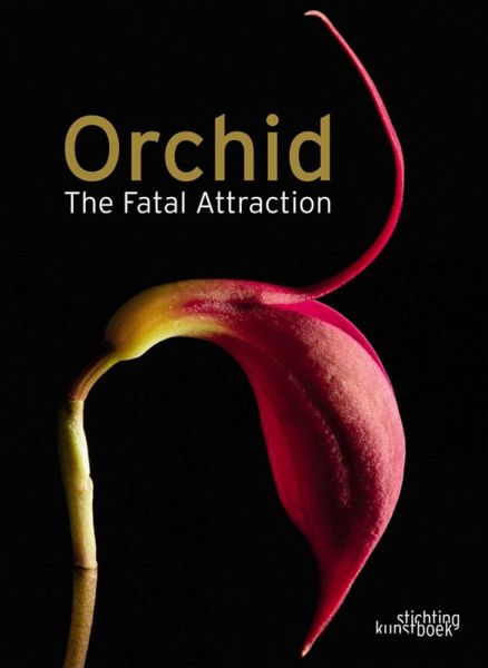 Orchid Orchid