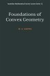 Foundations of Convex Geometry - Bild 1