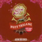 Nuit Tsigane All Stars-Gaetano Fabri Remixes