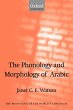 The Phonology and Morphology of Arabic - Bild 1