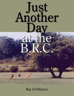 Just Another Day at the B.R.C.