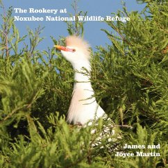 The Rookery at Noxubee Wildlife Refuge - Martin, Joyce