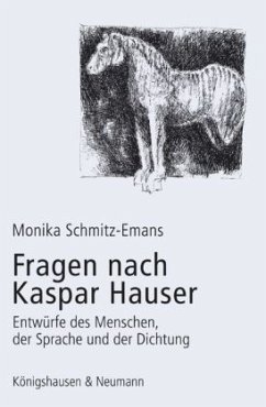 Fragen nach Kaspar Hauser - Schmitz-Emans, Monika