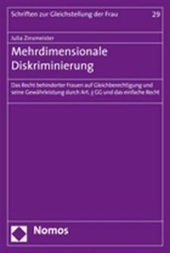 Mehrdimensionale Diskriminierung - Zinsmeister, Julia