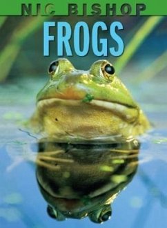 Nic Bishop: Frogs - Bishop, Nic