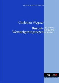 Buyout-Wertsteigerungstypen - Wegner, Christian