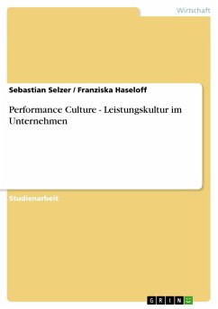 Performance Culture - Leistungskultur im Unternehmen - Haseloff, Franziska; Selzer, Sebastian