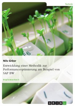 Entwicklung einer Methodik zur Performanceoptimierung am Beispiel von SAP BW - Gröer, Nils