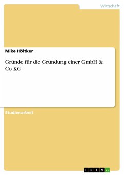 Gründe für die Gründung einer GmbH & Co KG - Höltker, Mike